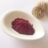 Instant Fruit Juice Powder Spraying Dried Cranberry Fruit Powder