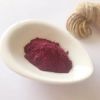 High Quality Freeze Dried Fd Cranberry Powder for Food and Beverage