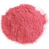 Instant Fruit Juice Powder Spraying Dried Cranberry Fruit Powder