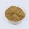 100% Natural Dehydrated Ginger Powder