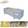 Commercial Fruit Veget...