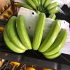 Cavendish banana