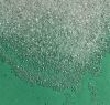 polyvinyl acetate pvac...