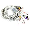 OEM Customized Electrocardiogram (ECG), Dynamic ECG Machine, and ECG Workstation Lead Wire Accessories