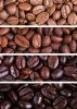 Arabica Coffee Beans