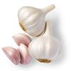 FRESH ORGANIC GARLIC