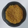 Wholesale Pueraria lob...