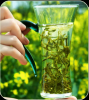 Jasmine Scented Tea 