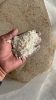 Dry Egg shell