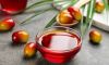 Crude Palm Oil 