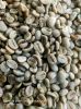 Arabica Coffee Beans
