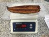 Frozen roasted EEL tes...