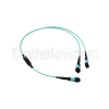 MTP MPO Fiber Cable| M...