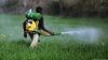 Pesticides