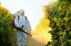 Pesticides