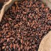 COCOA BEANS, COCOA POWDER, COCOA NIBS, COCOA MASS, DARK COMPOUND, COCOA BUTTER