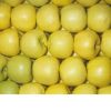 Fresh Delicious Royal Gala Apples From South Africa