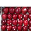 Fresh Delicious Royal Gala Apples From South Africa