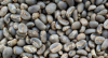 Arabica Mandheling coffee beans