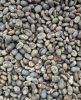 Arabica Lintong Coffee...