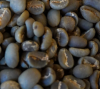 Arabica Semi Wash Coff...