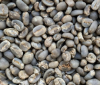 Arabica Lintong Coffee Beans