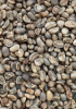 Arabica Gayo Grade 2 Coffee Beans