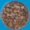 antioxidant TMQ