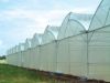 Greenhouse