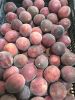 Frozen passion fruit