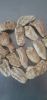 Iris root Orris root