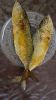 Dried Fish 