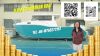 8.8m /30ft Catamaran f...