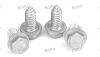 Stainless steel outer hexagonal self-tapping nails