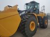 11 Ton LW1100KNJ Wood Wheel Loader with Log Grapple LW1100KN for Sale