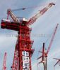 Tower Crane of LUFFING...