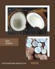 SEMI HUSKED COCONUT