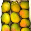 Alphonso mangos 