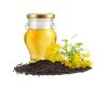 100% Pure RBD Canola Oil Ã¢ï¿½ï¿½ Refined Edible Grade |Bulk Supply at Competitive Wholesale Price