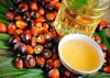 100% Pure Palm Kernel Oil Ã¢ï¿½ï¿½ Crude & Refined | Bulk Supply at Competitive Price