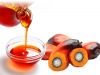 Fractionated Palm Oil Ã¢ï¿½ï¿½ RBD Palm Olein & Stearin | Food & Industrial Grade | Bulk Export