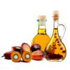 Premium Quality Palm Olein Oil for Cooking & Frying - Wholesale Price