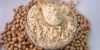 "Premium Chickpea Protein Isolate Ã¢ï¿½ï¿½ 90% Pure, Vegan & Gluten-Free