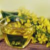 Certified Organic Canola Oil Ã¢ï¿½ï¿½ Cold Pressed, Non-GMO, Bulk Supply