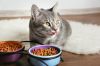 Cat Food Pre-Mix with ...