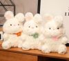 Pet Plush rabbit toys