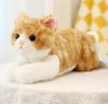 Plush cat toys for pets