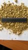 GMO Soybean meal