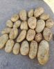 Fresh Egyptian Potatoes 