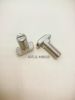 T head bolts